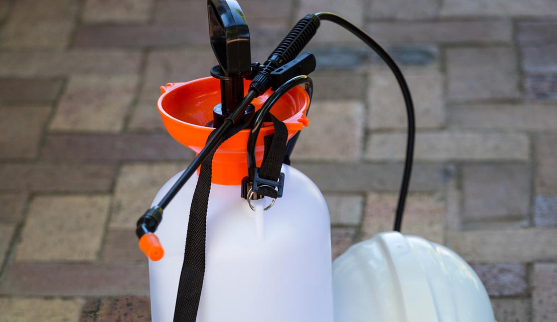 مكافحة الفئران