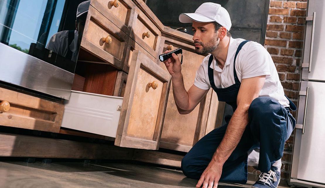 مكافحة البراغيث