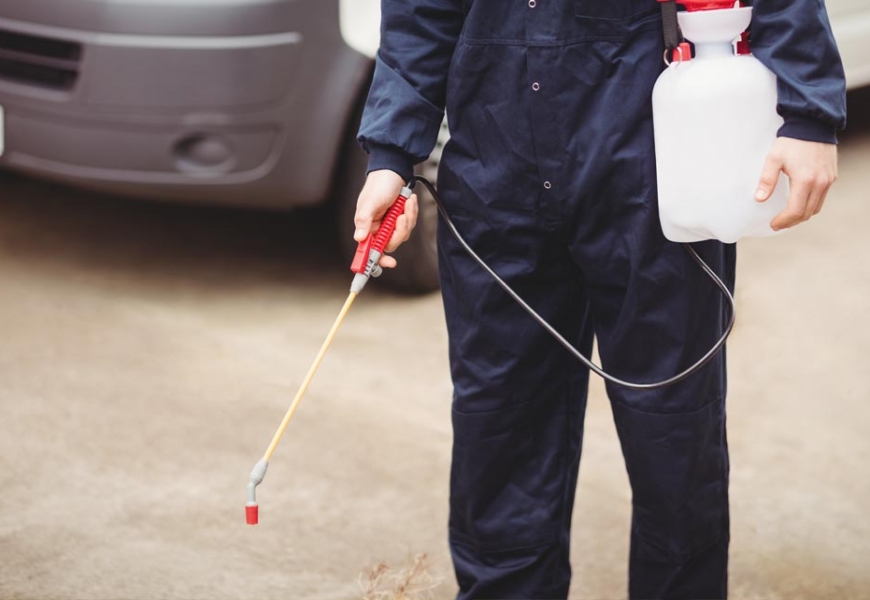 مكافحة الصراصير