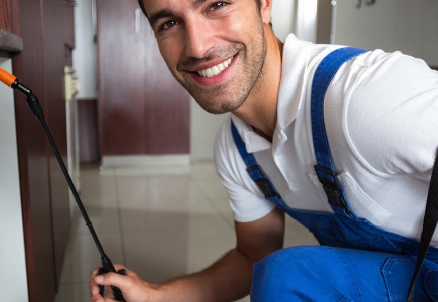 مكافحة السوس