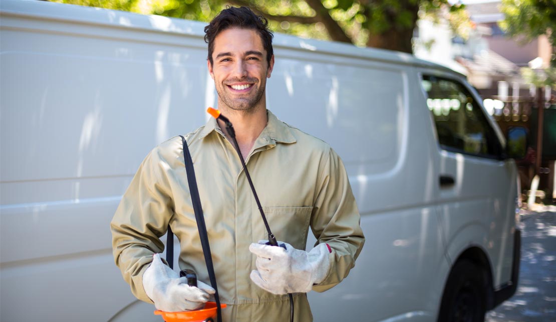 مكافحة الحشرات